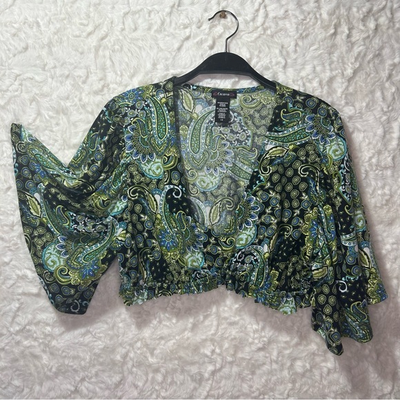 Paisley Crop Top - Picture 2 of 6